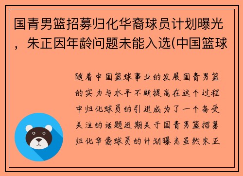 国青男篮招募归化华裔球员计划曝光，朱正因年龄问题未能入选(中国篮球国青)