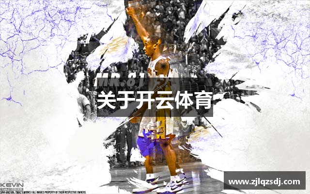 关于开云体育